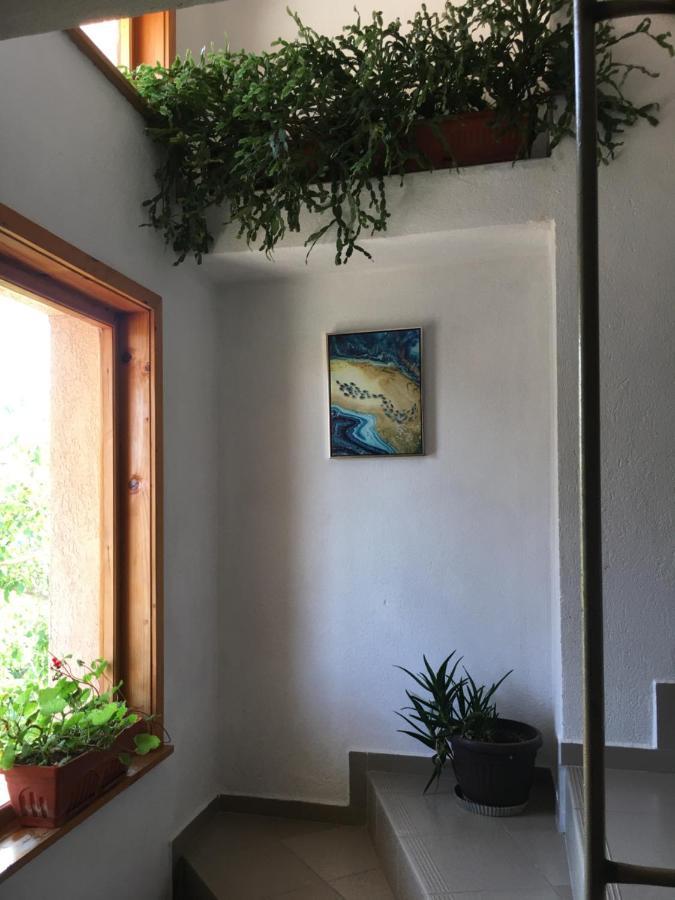 Chervenkov Guest House Chernomorets Ngoại thất bức ảnh