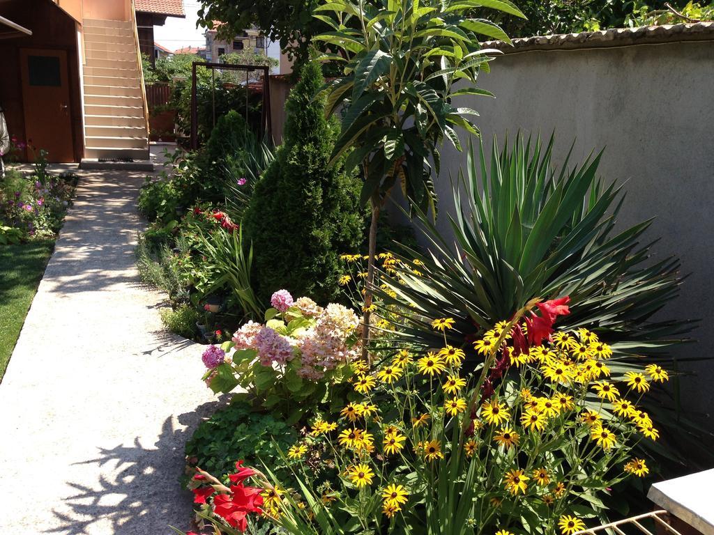 Chervenkov Guest House Chernomorets Ngoại thất bức ảnh
