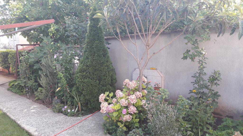 Chervenkov Guest House Chernomorets Ngoại thất bức ảnh